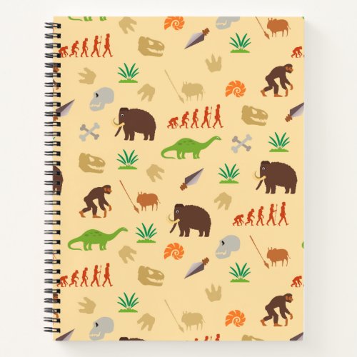 Evolution Pattern Notebook