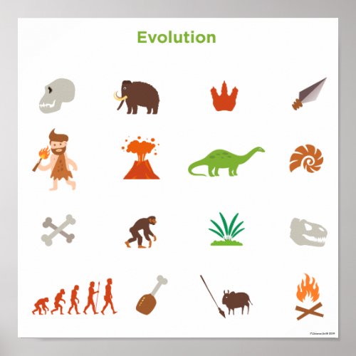Evolution Pattern Poster