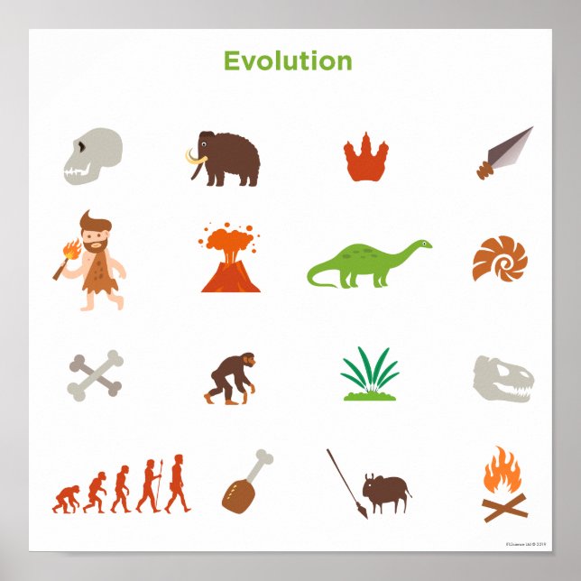 Evolution Pattern Poster (Front)