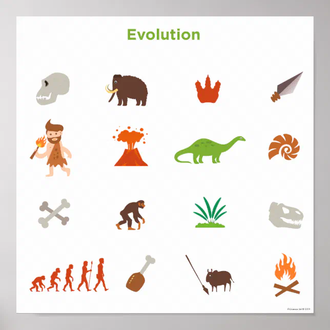 Evolution Pattern Poster | Zazzle