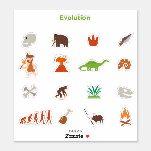 Evolution Pattern Sticker