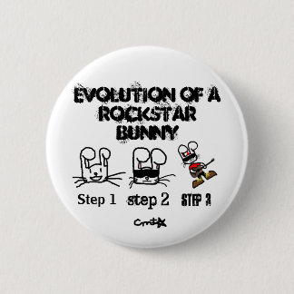 Evolution Pinback Button