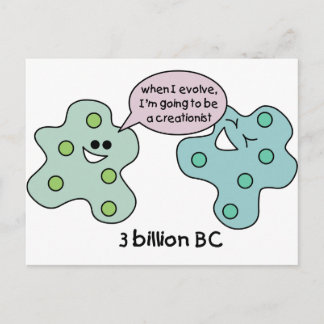 Evolution Postcard