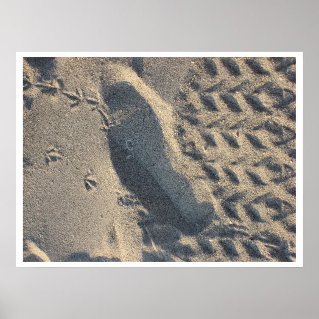 evolution poster (Front)