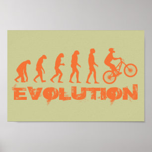 Evolution Poster