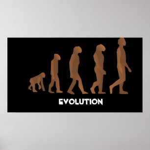 Evolution Posters
