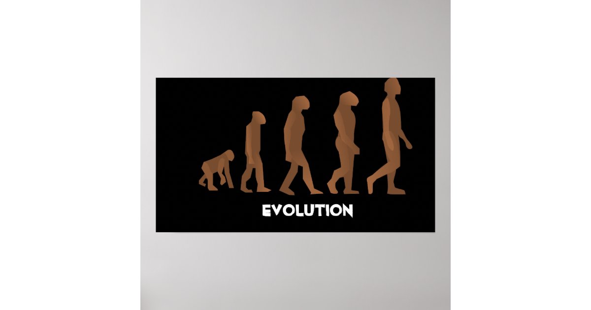 Evolution Posters | Zazzle