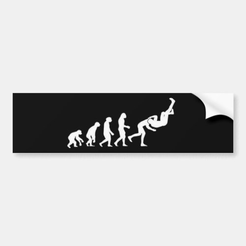 Evolution RKO Bumper Sticker