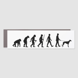 Evolution to Greyhound Owner Car Magnet