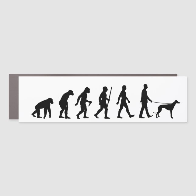 Evolution to Greyhound Owner Car Magnet (Front)