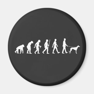 Evolution to Greyhound Owner Magnet