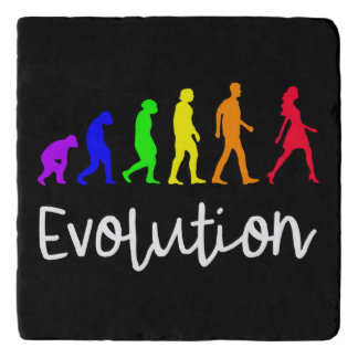 Evolution Trivet