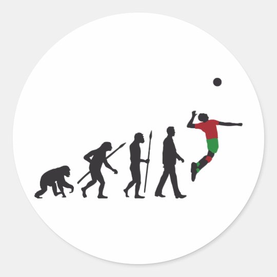evolution volleyball more player classic round sticker