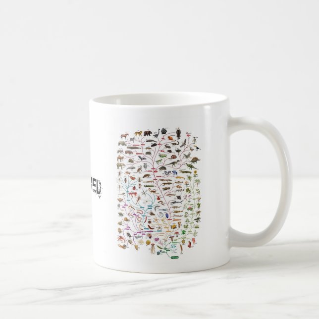 Evolved Tree of Life Mug (Right)