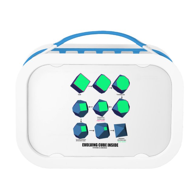 Evolving Cube Inside (Math & Geometry) Lunch Box (Back)