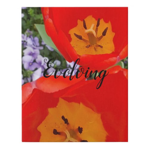 Evolving Red Tulips Faux Wrapped Canvas Print