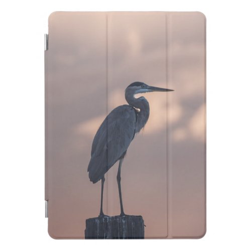 EVZ Photo Heron iPad Case8th Gen iPad w 102 Ret iPad Pro Cover