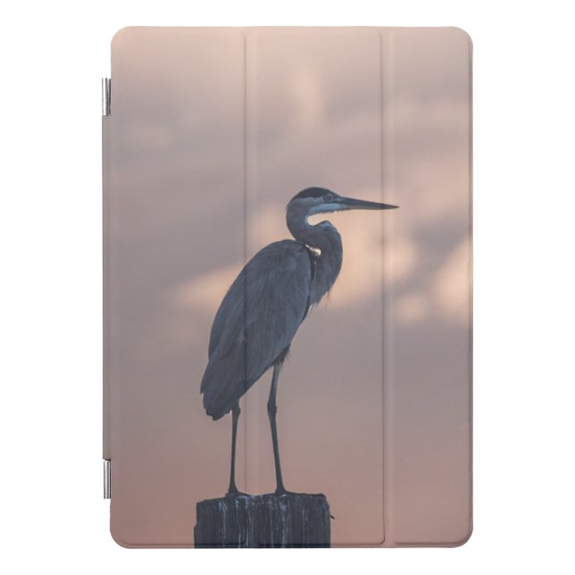 EVZ Photo Heron iPad Case8th Gen iPad w/ 10.2" Ret iPad Pro Cover (Front)