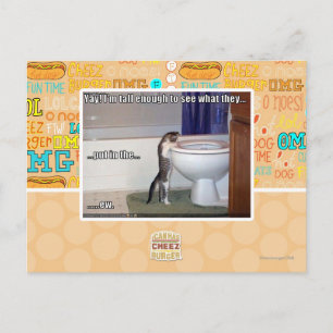 ew postcard