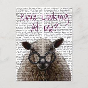 Ewe Looking at Me DeNiro Sheep 2 Postcard