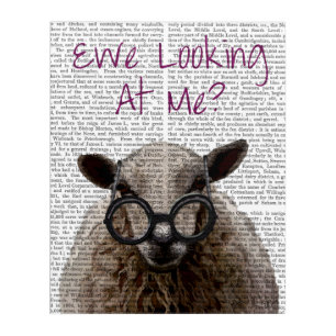 Ewe Looking at Me DeNiro Sheep Acrylic Print