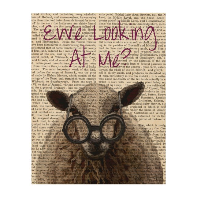 Ewe Looking at Me DeNiro Sheep Wood Wall Art (Front)