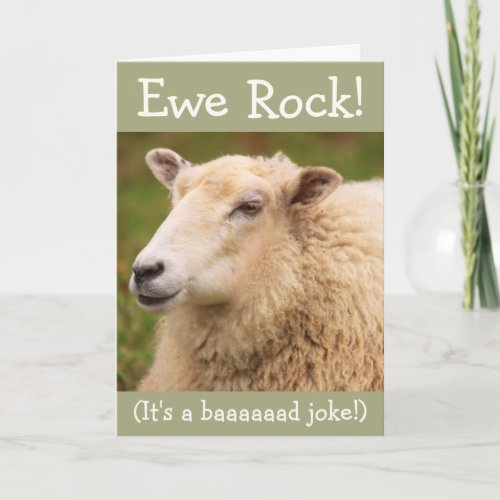 Ewe Rock Sheep Birthday Card
