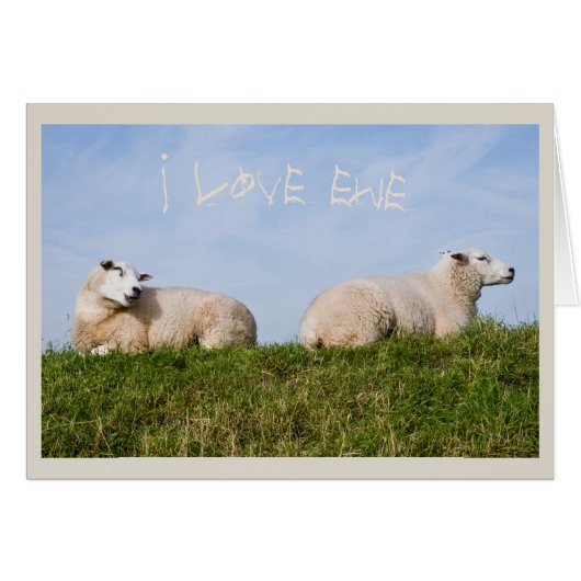 Ewe Who (Front Horizontal)
