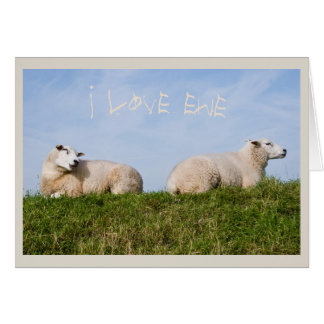 Ewe Who Cards