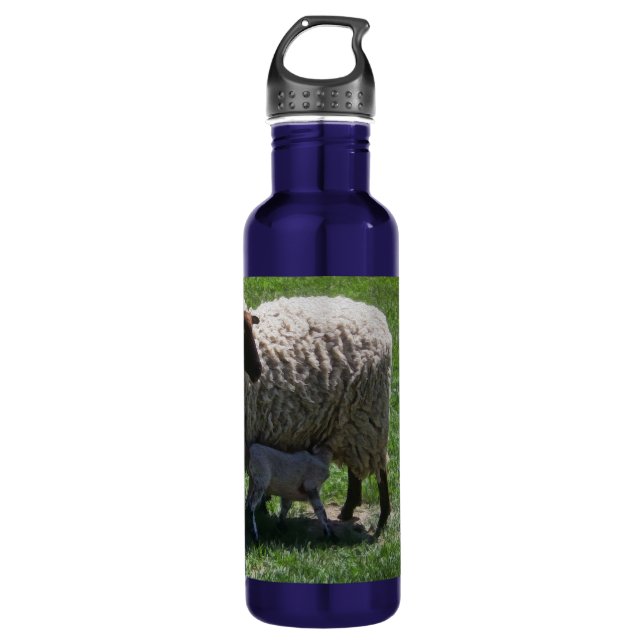 Ewe with Lamb Stainless Steel Water Bottle (Front)