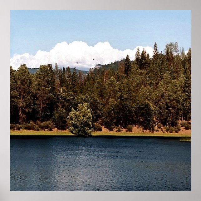 Ewing Reservoir.... Poster (Front)