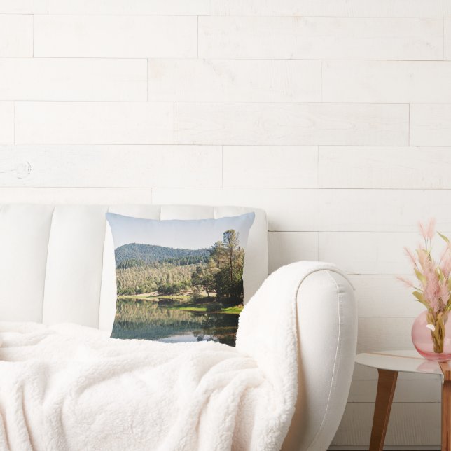Ewing Reservoir.... Throw Pillow (Couch)