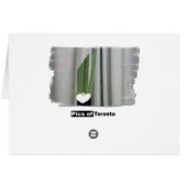 Ex Flower Show Cards (Back Horizontal)