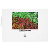 Ex Flower Show Cards (Back Horizontal)