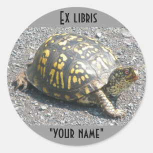 Ex Libris Box Turtle Stickers to Customize