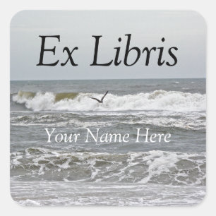 Ex Libris - Surf and Gull Sticker