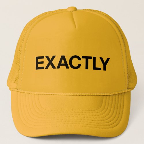 EXACTLY fun slogan trucker hat