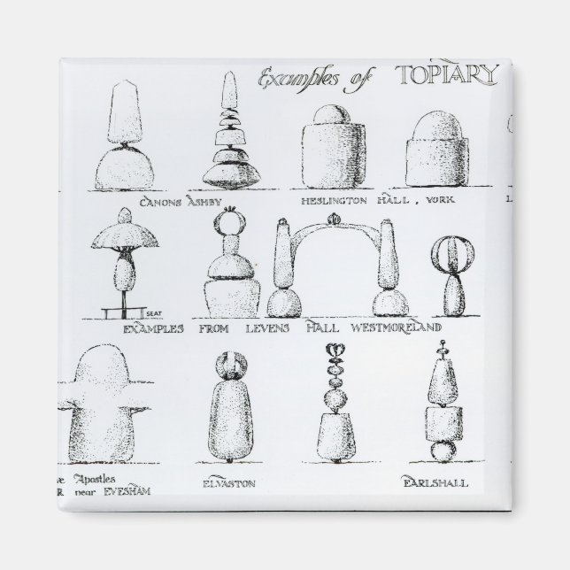 Examples of Topiary Work, 1902 (engraving) (b/w ph Magnet (Front)