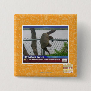 Excaping Turtle Button