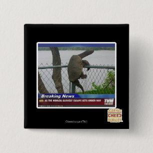 Excaping Turtle Button