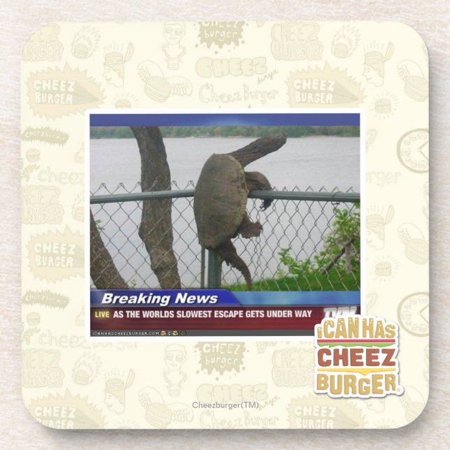 Excaping Turtle Coaster (Front)