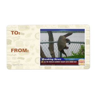 Excaping Turtle Label