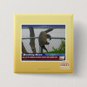 Excaping Turtle Pinback Button
