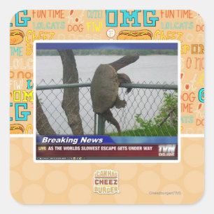 Excaping Turtle Square Sticker