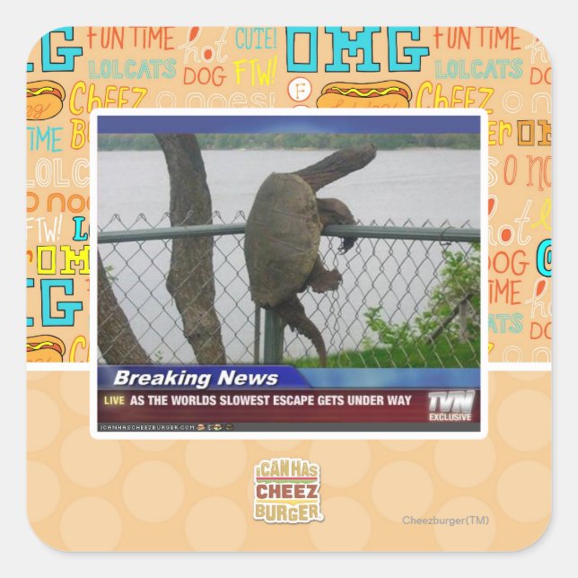 Excaping Turtle Square Sticker (Front)