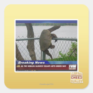 Excaping Turtle Square Sticker