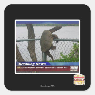Excaping Turtle Square Sticker