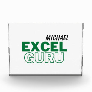 Excel Guru Funny Accounting Acrylic Award