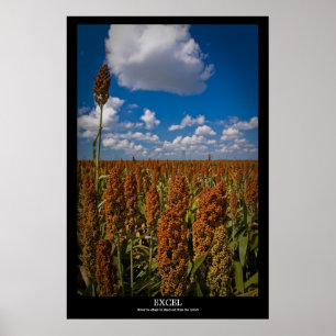 Excel Poster