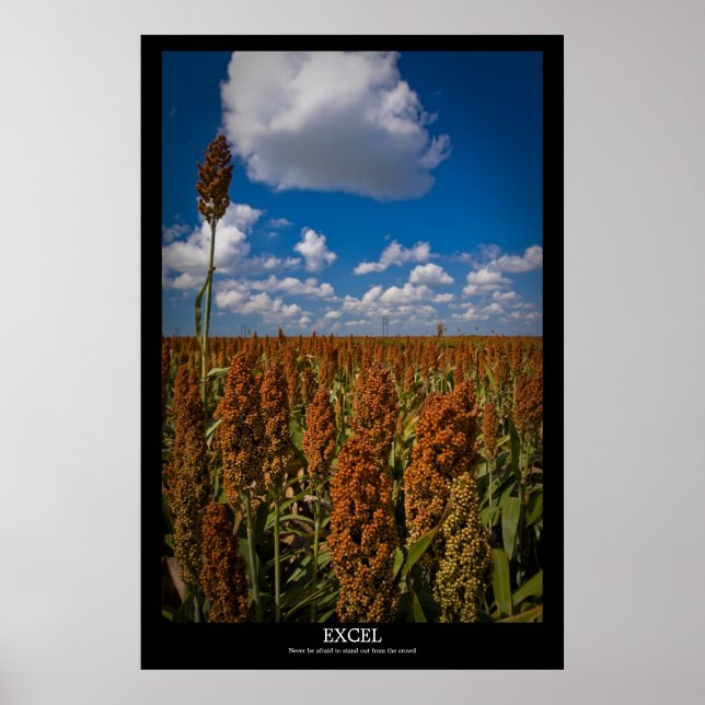 Excel Poster (Front)